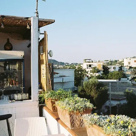 Ring Vandrerhjem Forio di Ischia